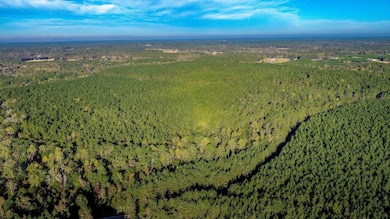 28 Acres Porter Hudson Rd, Sumrall, MS 39482 - photo 2