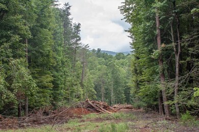 LOT 1 Clay's Way, Blue Ridge, GA 30540 - photo 7