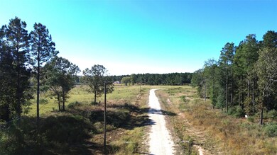 300 Buckhorn Creek Trail, Crockett, TX 75835 - photo 4