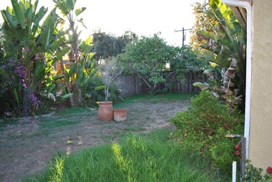 Back yard