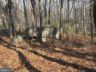 6 Cooper Mountain View Dr, Capon Bridge, WV 26711 - photo 6