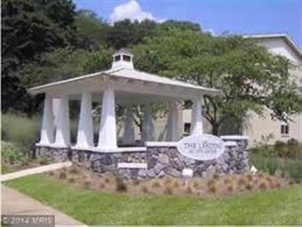 1144 Cove Rd unit 201, Annapolis, MD 21403 - photo 7