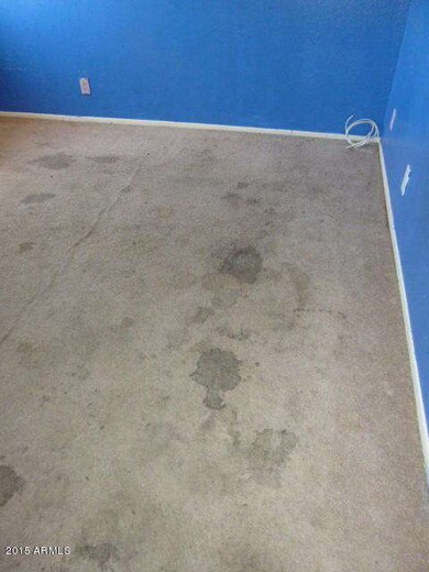 CARPET
