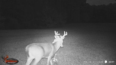 5 Points Rd, Gray, GA 31032 - photo 5