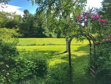 summer.trellis3