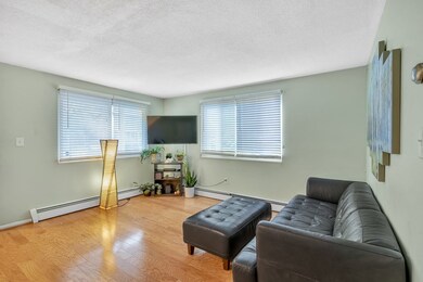 12 Arbutus St, Dorchester Center, MA 02124 - photo 5