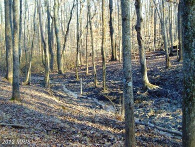 0 Mt Pisgah Church Rd unit 1003863084, Orange, VA 22960 - photo 7