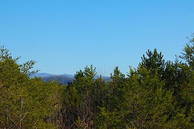 IMG_7510