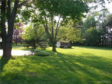 Yard/Garden side yard