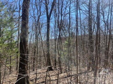 0 Amy's Ln unit 152415, Austerlitz, NY 12017 - photo 4