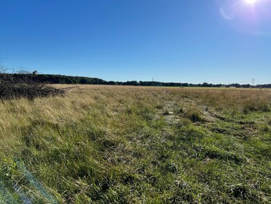 16244 Holden Rd unit B-3, Galien, MI 49113 - photo 3