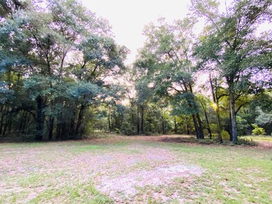 6343 280th St, Branford, FL 32008 - photo 4