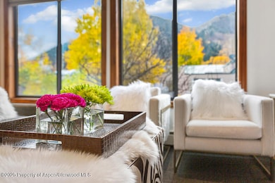 725 E Main St unit 309, Aspen, CO 81611 - photo 4