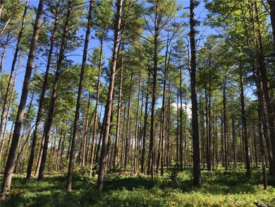 596 N Bridgton Rd, Bridgton, ME 04009 - photo 7