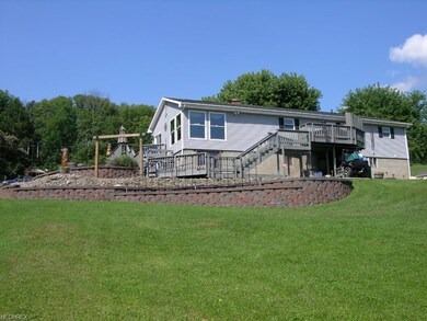 Back View