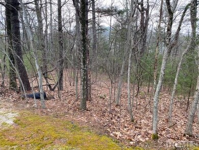 Lot 20 E Ridge Rd, Cashiers, NC 28717 - photo 6
