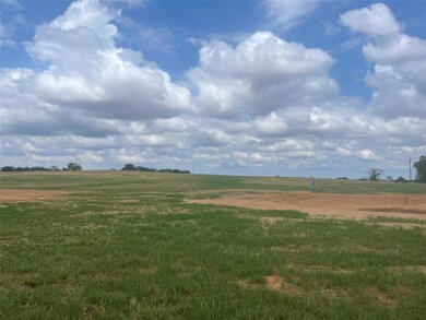 7 County Road 4371, Decatur, TX 76324 - photo 6