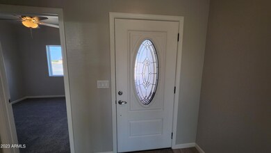 Front Door Elegant Glass Incert