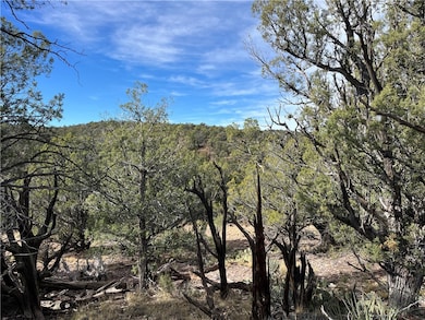 1022 Duffis Bluff Rd, Seligman, AZ 86337 - photo 3