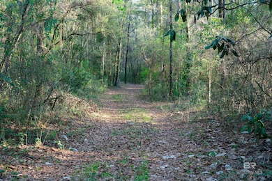 0 Dogwood Fork Rd unit 358700, Bay Minette, AL 36507 - photo 2