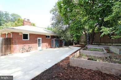 811 Larch Ave, Takoma Park, MD 20912 - photo 3