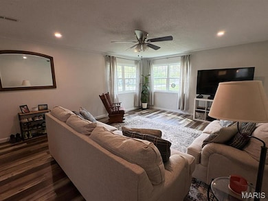 10817 Cabin Ln, Dexter, MO 63841 - photo 4