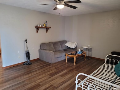 469 Main St, Radom, IL 62876 - photo 4