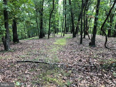 0 78 Mountain Meadows unit WVHD2001158, Mathias, WV 26812 - photo 5