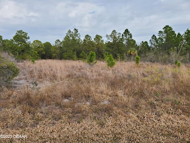 27076 Treadmill Dr, Punta Gorda, FL 33955 - photo 3