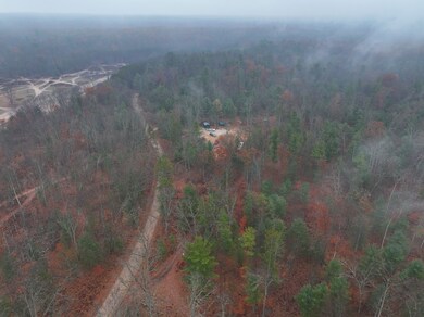 6270 Woods Trail, Custer, MI 49405 - photo 5