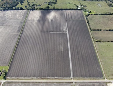 1010 County Road 23, Damon, TX 77430 - photo 6