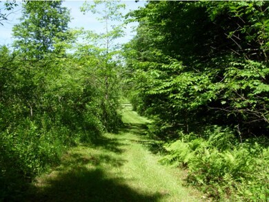 Lot 14 A Crescent Beach Extension, Morgan, VT 05853 - photo 5