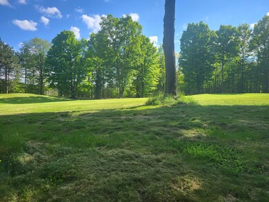 Lot 22 Cubs Way, Vanderbilt, MI 49795 - photo 7