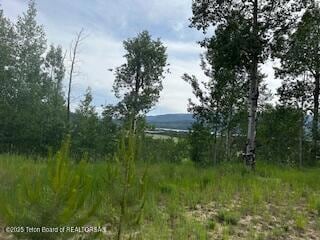 11 & 12 Windsong, Alpine, WY 83128 - photo 7