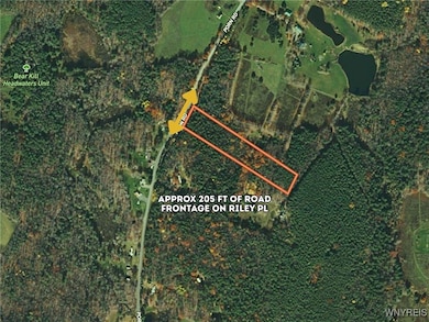 0 Bruce Porn Rd, Gilboa, NY 12076 - photo 2