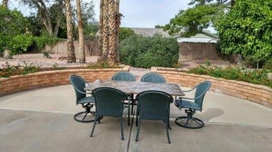 Backyard 1