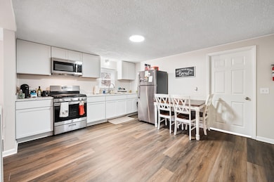 316 2nd Ave, Big Rapids, MI 49307 - photo 3