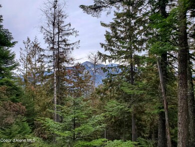 NNA Sled Run Trail, Clark Fork, ID 83811 - photo 5