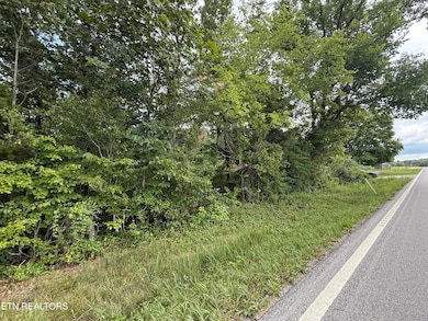 2571 Bellview Rd, Pikeville, TN 37367 - photo 7