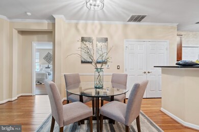 4310 Cannon Ridge Ct unit 84, Fairfax, VA 22033 - photo 6