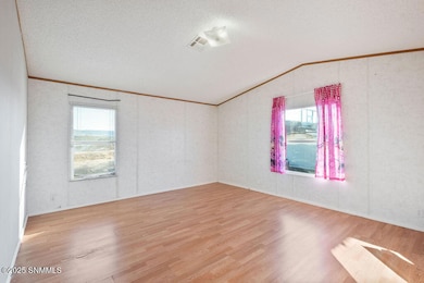 555 B Romig Dr, Hatch, NM 87937 - photo 5