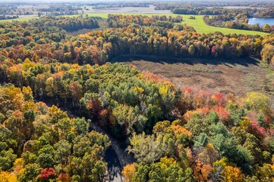 10790 14 Mile Rd NE, Rockford, MI 49341 - photo 4