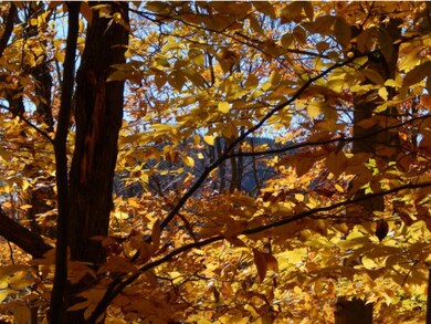 3 Old Post Rd, Newbury, NH 03255 - photo 2