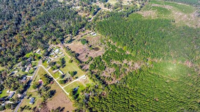 26848 S Satsuma Rd, Livingston, LA 70754 - photo 4