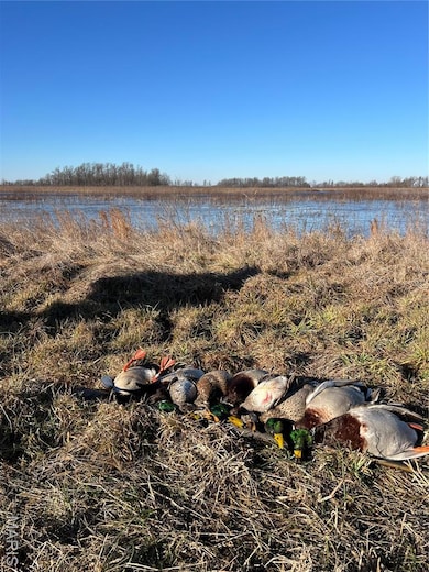 0 Highway P unit MIS25062383, New Madrid, MO 63869 - photo 4