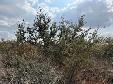 Farm To Market Road 716, Realitos, TX 78376 - photo 6