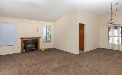 13980 Olive Grove Ln -MLS -4