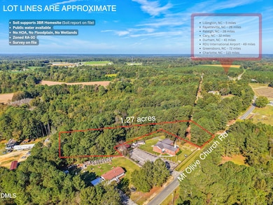 Lot #1 0 Mount Olive Church Rd, Lillington, NC 27546 - photo 3