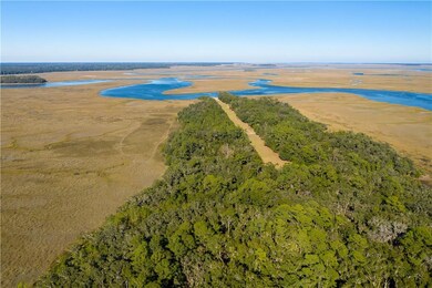 Hird Island Grass Runway Looking North