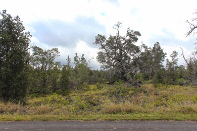 0 Bougainvillaea Dr unit 722379, Ocean View, HI 96737 - photo 4